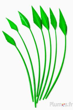 Zwaan pijl - 20-30 cm - groen